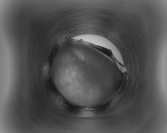 X0000086320222200704202028