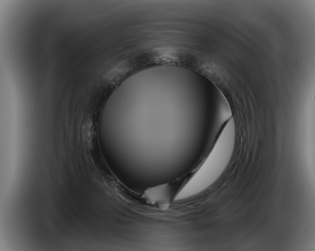 X0000086320223200704202028