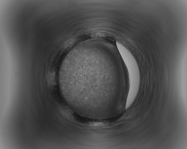 X0000086320224200704202028