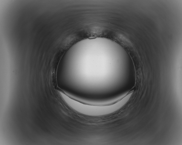 X0000086320225200704202028