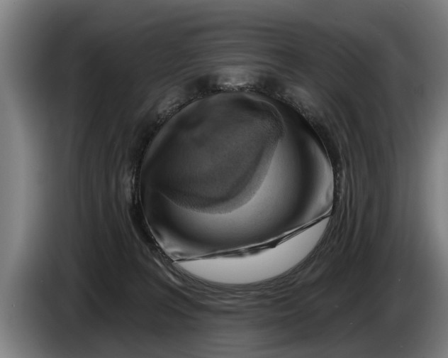 X0000086320227200704202028