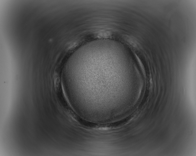 X0000086320228200704202028