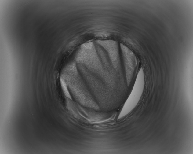 X0000086320229200704202028