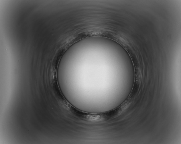 X0000086320230200704202028