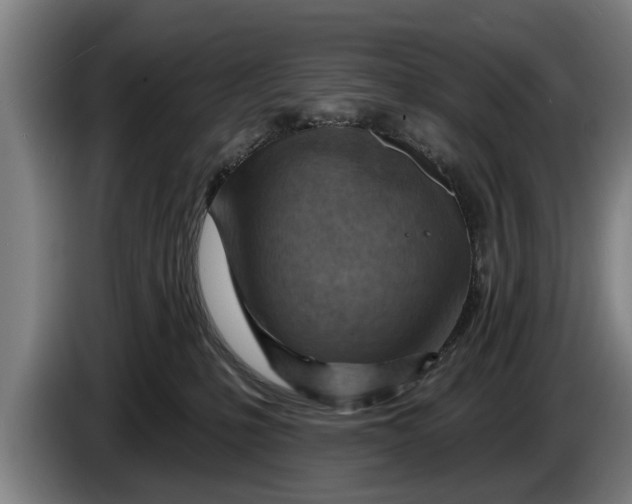 X0000086320231200704202028