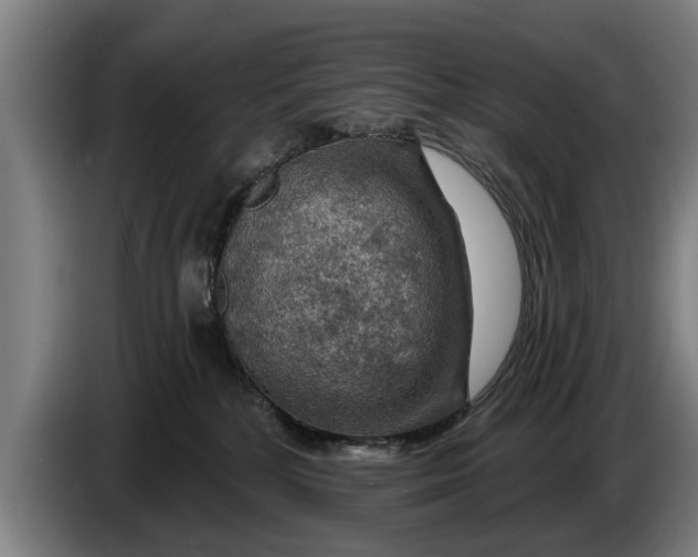 X0000086320232200704202028