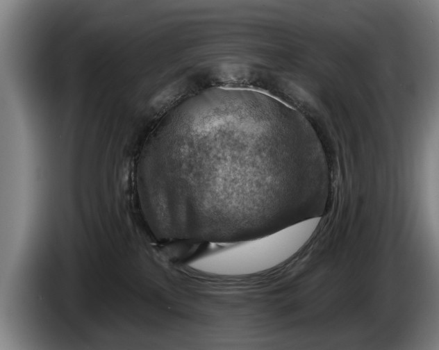X0000086320233200704202028