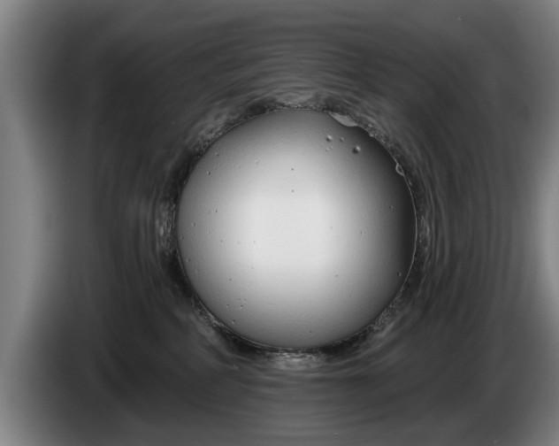 X0000086320234200704202028