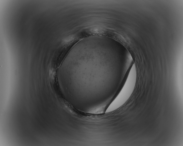 X0000086320235200704202028