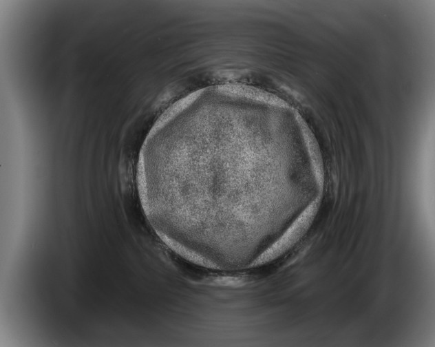 X0000086320236200704202028