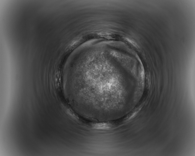 X0000086320237200704202028