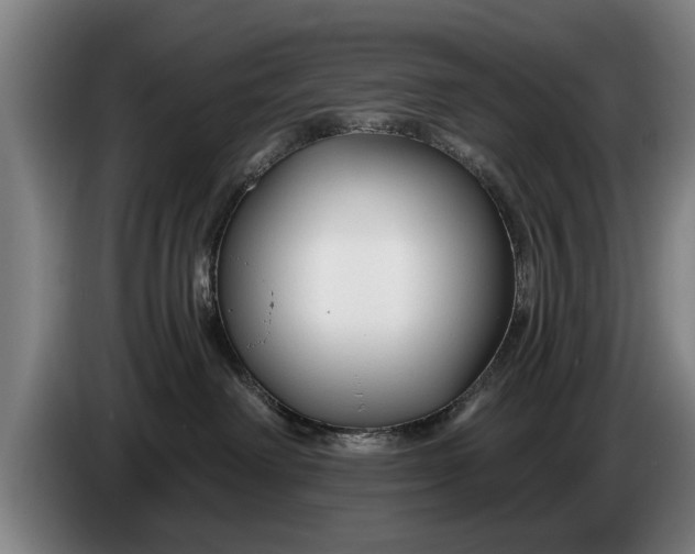X0000086320238200704202028