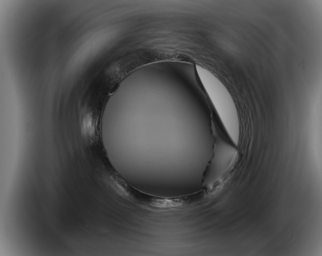 X0000086320239200704202028
