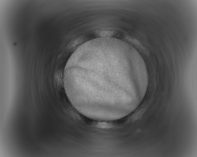 X0000086320240200704202028