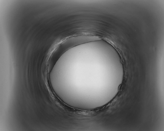 X0000086320241200704202027