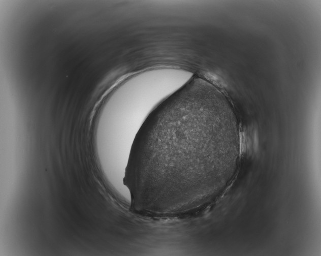 X0000086320243200704202027