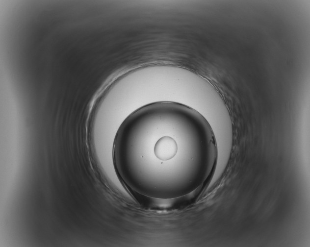 X0000086320244200704202027
