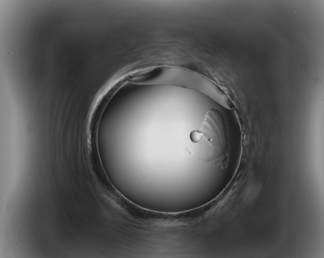 X0000086320246200704202027