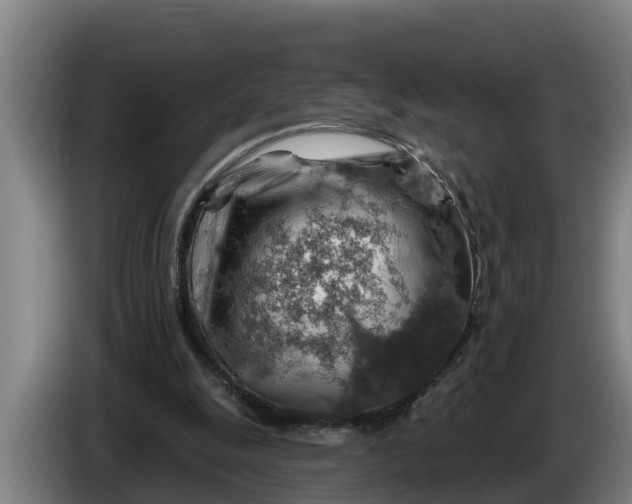 X0000086320247200704202027