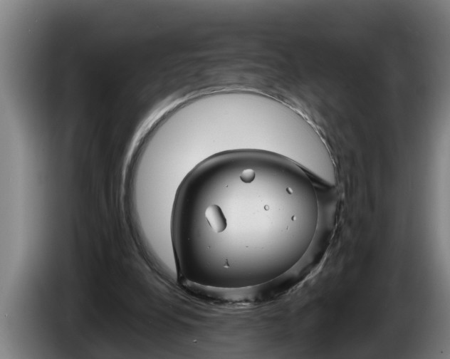 X0000086320248200704202027