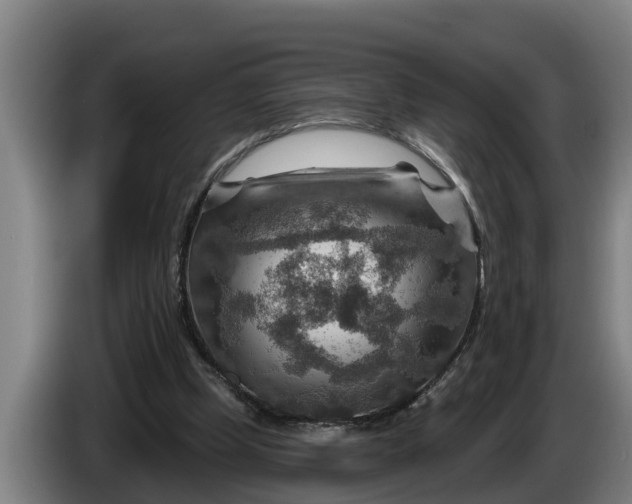 X0000086320249200704202027