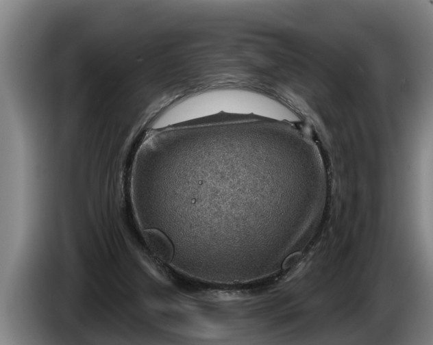 X0000086320250200704202027