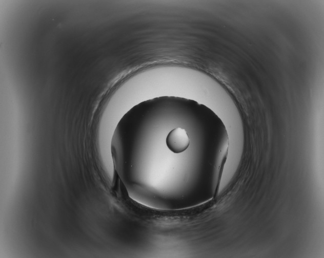 X0000086320252200704202027