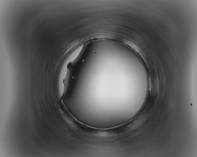 X0000086320253200704202027