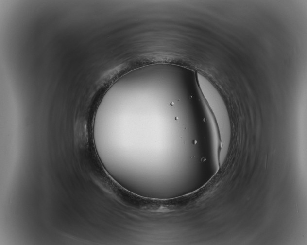 X0000086320254200704202027