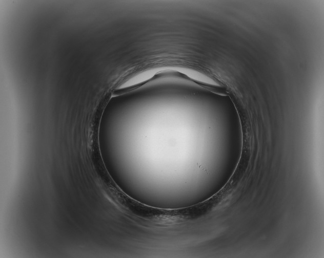 X0000086320255200704202027