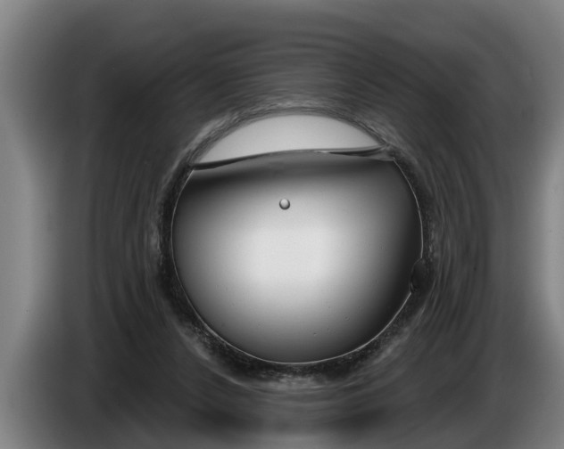 X0000086320256200704202027