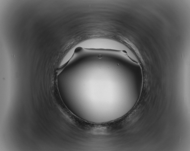 X0000086320257200704202027