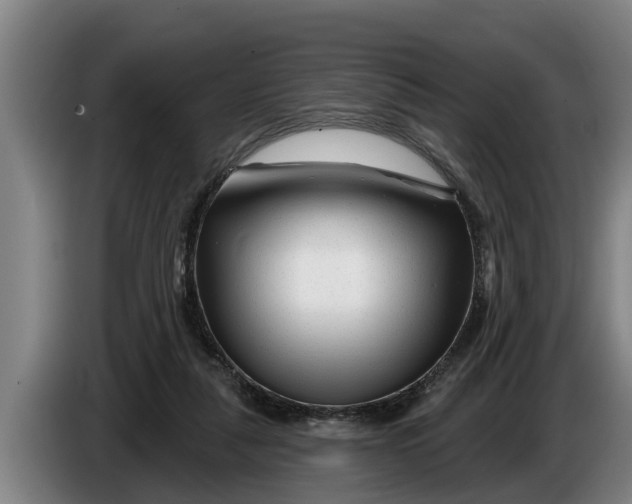 X0000086320259200704202027