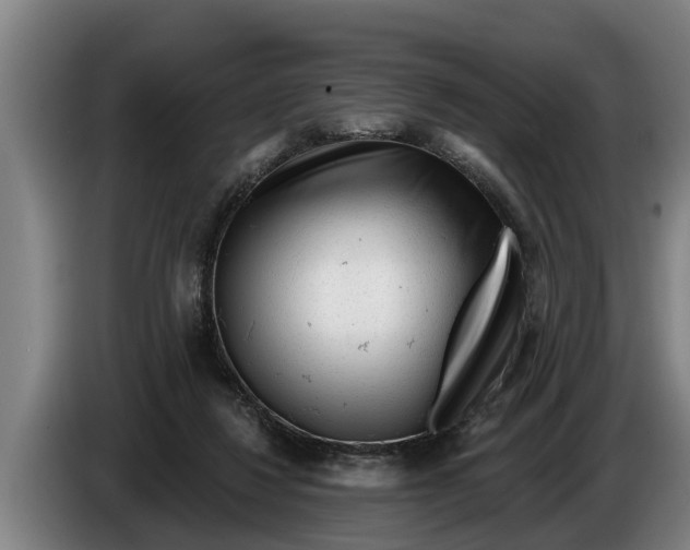 X0000086320260200704202027