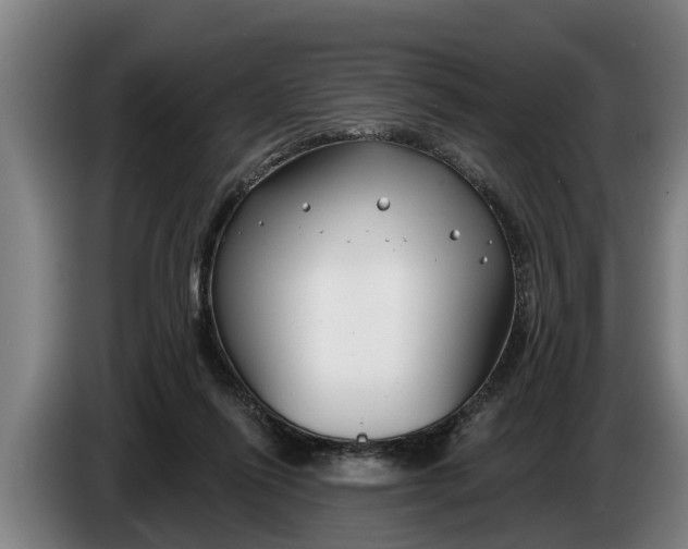 X0000086320262200704202027