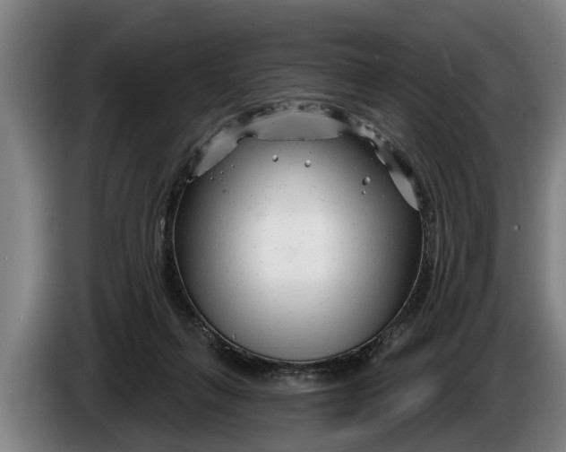 X0000086320263200704202027