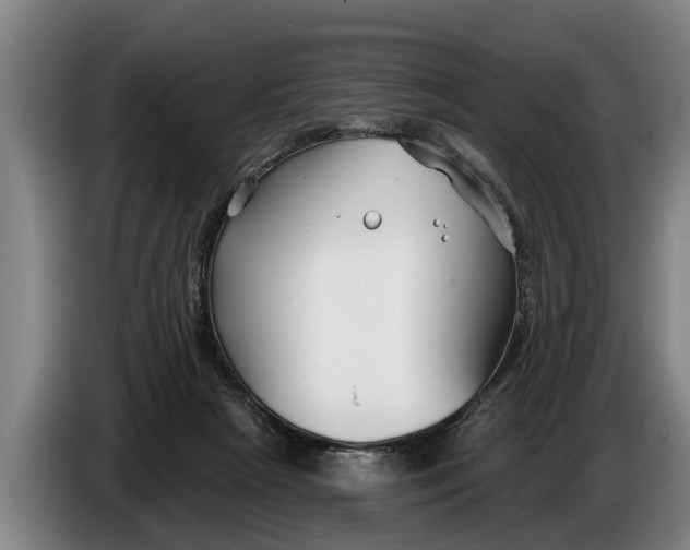 X0000086320265200704202027