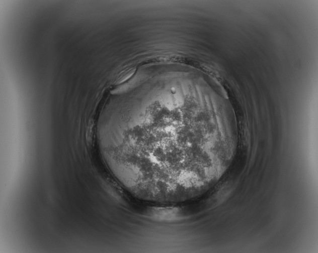 X0000086320266200704202027