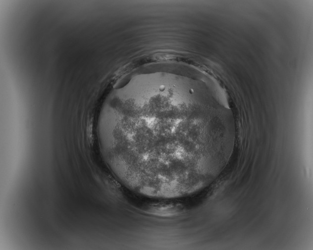 X0000086320267200704202028