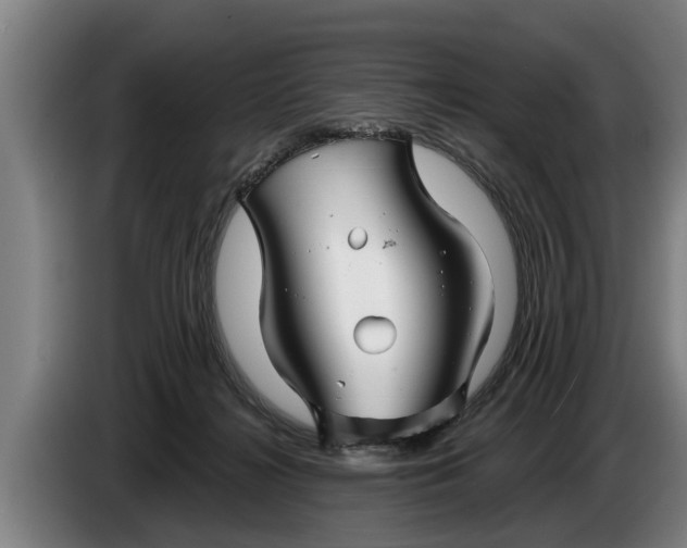 X0000086320268200704202028