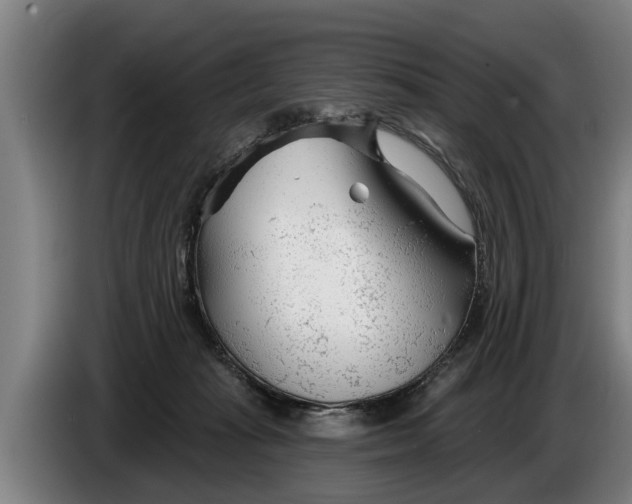 X0000086320269200704202028