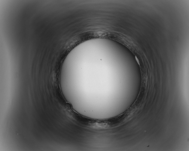 X0000086320270200704202028