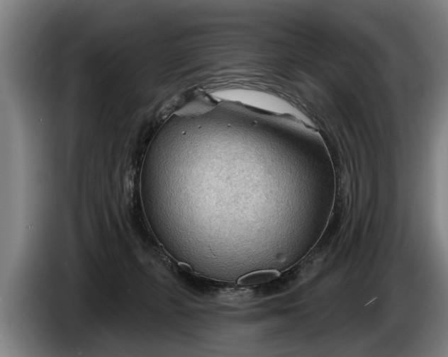X0000086320271200704202028
