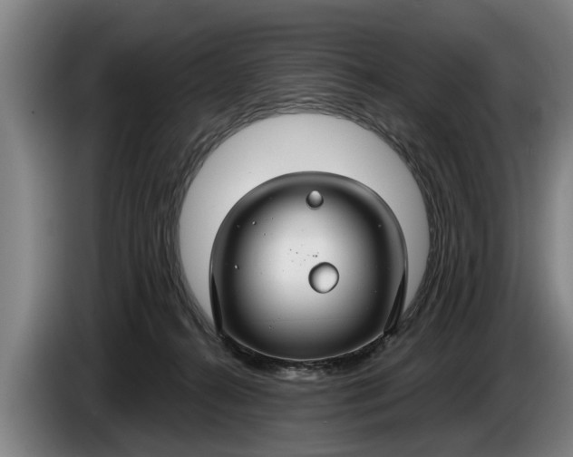 X0000086320272200704202028