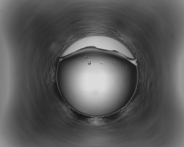 X0000086320273200704202028