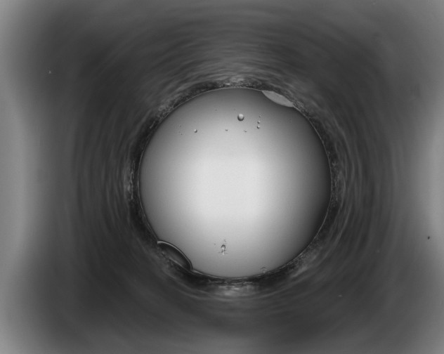X0000086320274200704202028