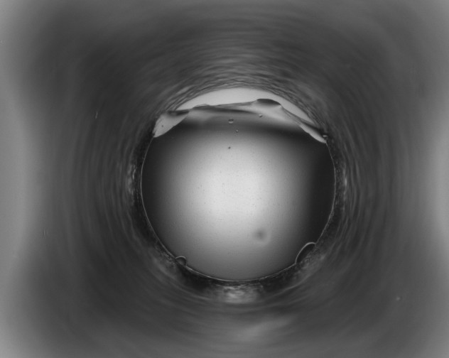 X0000086320275200704202028