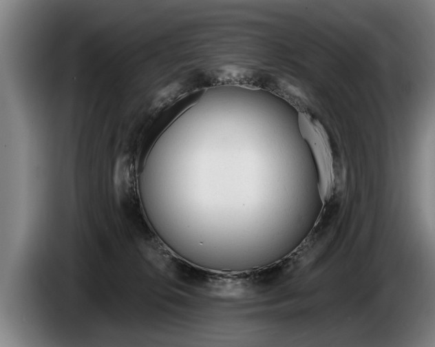 X0000086320276200704202028