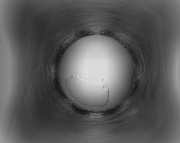 X0000086320279200704202028
