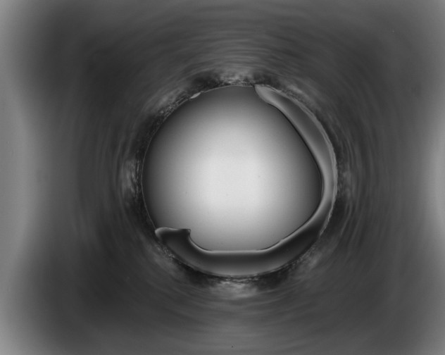 X0000086320280200704202028